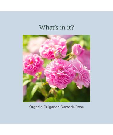 Juicy Chemistry - Certified Organic 100% Natural Toner Mist w/Bulgarian Rose Water for Normal to Oily Skin (110ml) 1 Count (Pack of 1) - Buy Online on GoSupps.com