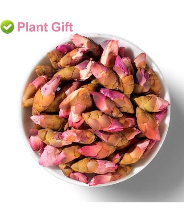 Plant Gift Wlid Peach Blossom Flowers Health Tea Marigold Tea Pure Herbal Tea Peach Blossom Tea Caffeine-Free No GMOs Chinese Tea 70g/2.46oz - Buy Online on GoSupps.com