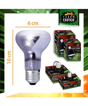 Terra Exotica Neo Spot - UV Reflector Spotlight for Terrariums (25W) | Ideal Heat & Light Source for Inhabitants - Ships Internationally - Buy Online on GoSupps.com