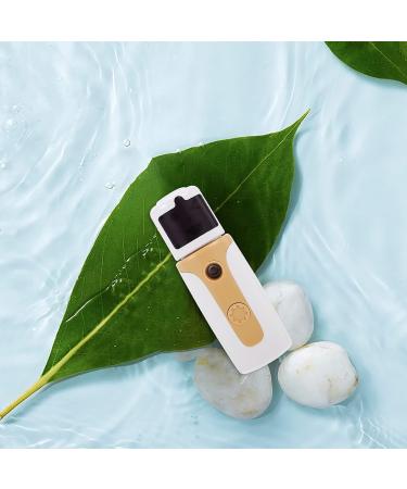 1 Set Hydrating Instrument Portable Garment Steamer Mini Facial Mister Face Moisturizer - Buy Online on GoSupps.com