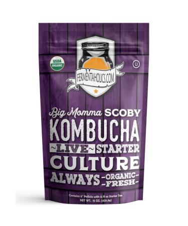 Fermentaholics BIG MOMMA Kombucha SCOBY With Twelve Ounces of Starter Tea -- Live Kombucha Starter Culture | Extra Large 6" Pellicle | Makes A One Gallon Batch | 1.5 Cups of Strong Mature Starter Tea