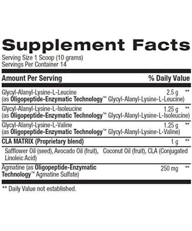 BPI Sports Best BCAA Watermelon Ice - 10.58 oz (300g) | Amino Acids for Muscle Recovery - Buy Online on GoSupps.com