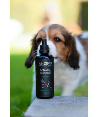 ANCEVIA Fresh Black Seed Oil 100ml for Dogs Pre-Order Now - Freshly Pressed to Order - Cold Pressed NATI Egyptian - Buy Online on GoSupps.com