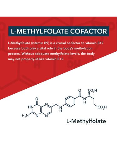 Organic Vitamin B12 5000 mcg | 3 BioActive B12 Forms | Cherry Flavor | Vegan | Non-GMO (60 Servings) - Buy Online on GoSupps.com