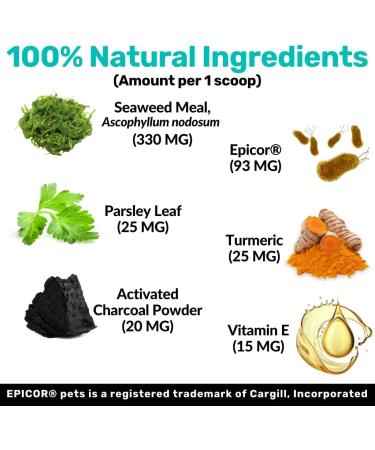 NutriPaw Dental Powder for Dogs & Cats - Clean Teeth, Healthy Gums & Fresh Breath - Plaque & Tartar Control - Fuss-Free Oral Care Solution - Lasts Up to 6 months - Buy Online on GoSupps.com