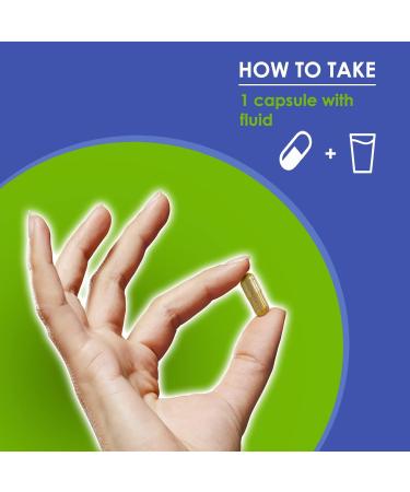 Ginkgo Biloba Supplement - Nootropic Herbal Extract for Memory, Energy, Focus - 60 Capsules by VH Nutrition - Buy Online on GoSupps.com