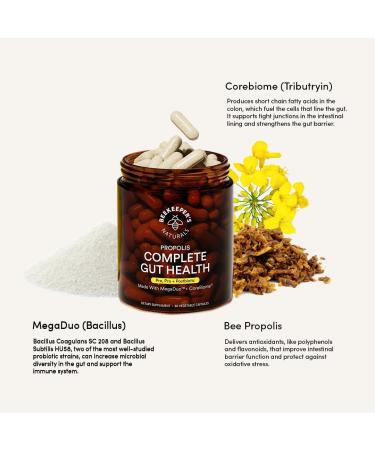 Beekeeper's Naturals B.Biome 3-in-1 Prebiotic Probiotic & Postbiotic Supplement | Gut & Digestive Health | Dairy/Gluten-Free Vegan Capsules - 60ct - Buy Online on GoSupps.com