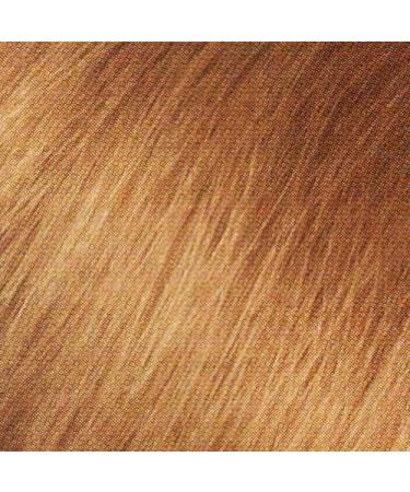 Healthy Look Dark Blonde Hair Color - Latte Shade | International Shipping Available - Buy Online on GoSupps.com