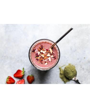 Vivo Life Whole Vegan Protein Shake - 25 Portions - Essential Fats Vitamins & Minerals - Caramel Biscuit Flavor - International Shipping Available - Buy Online on GoSupps.com