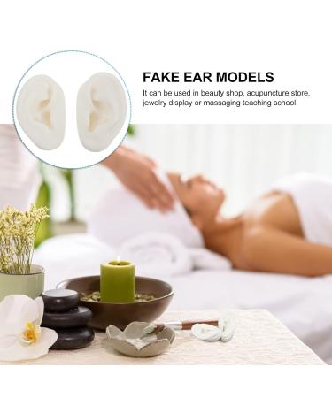 Artificial Ear Models for Display - Silicone Fake Ear Molds for Studs | 7cm x 5cm x 4cm - International Shipping Available - Buy Online on GoSupps.com
