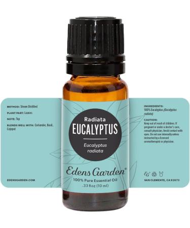 Edens Garden Eucalyptus- Radiata Essential Oil- 100% Pure Premium Grade Undiluted Natural Therapeutic Aromatherapy The Best for Diffuser Laundry Hair Humidifiers 10 ml (.33 fl oz) Eucalyptus- Radiata 0.33 Fl Oz (Pac  - Buy Online on GoSupps.com