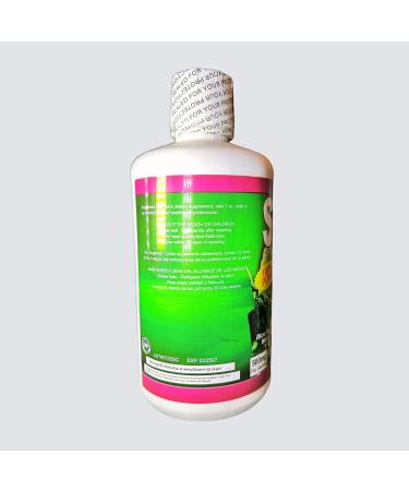 GMJ Aloe Vera and Chlorophyll Liquid Dietary Supplement (Savila y Clorofila) 32oz - Buy Online on GoSupps.com
