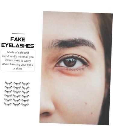 FRCOLOR Eyelashes Natural False Eyelashes 20 Pairs Artificial Black Faux For Women Bulk Lash Strips Fake Lash Strip Fake Makeup Make Up Cosmetics 3D 23X19X15CM Black1 - Buy Online on GoSupps.com