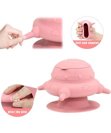 BCHBUD Puppy Kittens Feeder Milk Bowl 240ml - Nursing Bottles for Small Newborn Pets - Pink - Buy Online on GoSupps.com