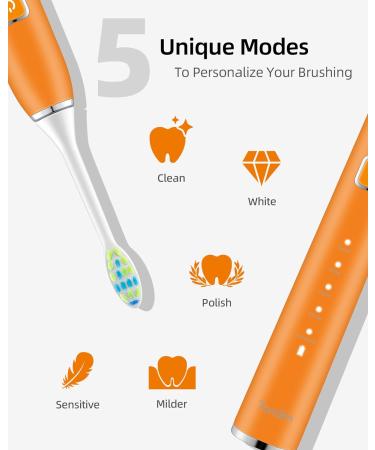 7am2m Sonic Electric Toothbrush with 6 Brush Heads for Adults and Kids Wireless Fast Charge One Charge for 60 Days 5 Modes with 2 Minutes Built in Smart Timer Electric Toothbrushes(Orange) No Travel Case Orange - Buy Online on GoSupps.com