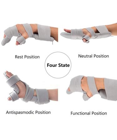 ANGGREK Adjustable Hand Wrist Brace - Support & Protection for Right Hand - Fingerboard Splint & Wrist Protector for Pain Relief - Buy Online on GoSupps.com