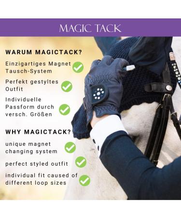 MagicTack Warmblood Browband - Bling Curved Rainbow Crystals for Horses | International Shipping Available - Buy Online on GoSupps.com
