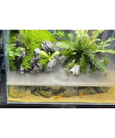 LANDEN Aquarium Sand - Natural Fine Grain Cosmetic Sand for Aquarium Landscaping - 11 lbs (4.2L) - Ideal for Freshwater, Saltwater, and Blackwater Tanks - Buy Online on GoSupps.com