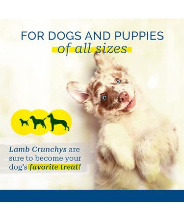 Pet Center Inc. PCI Lamb Crunchys Dehydrated Lamb Lungs Dog Treats - 8oz Pack | Healthy One Size Treats - Buy Online on GoSupps.com