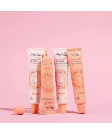 Melvita BB Cr me Source de Roses Hell - 100% Natural Bio-Certified Silicone-Free | 6-in-1 Natural Coverage & Imperfection Concealer - 40ml Tube - Buy Online on GoSupps.com