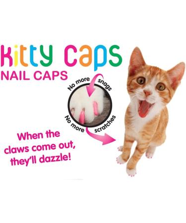 Kitty Caps Nail Caps for Cats - Hot Purple & Hot Pink - Medium Size - Cat Claw Covers - Safe & Stylish Alternative to Declawing - Buy Online on GoSupps.com