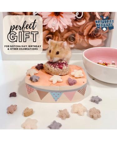 No Furries Delights 100% Organic & All Natural Treat for Rabbit Hamster Guinea Pig Chinchilla Pet Rat Mice Gerbil Bird Healthy Small Animal Enrichment Bonding Training Only Veggie Variety Pack 50g - Buy Online on GoSupps.com