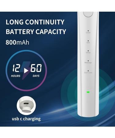 LANDWIND Sonic Electric Toothbrush - Rechargeable Travel Brush with 2 Heads, 5 Modes - 2 Months Lasting, 2-Min Timer, IPX7 Waterproof - White - Buy Online on GoSupps.com