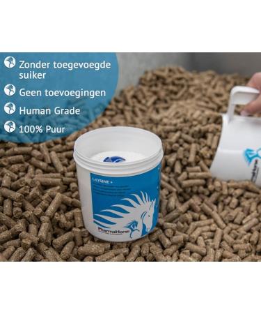 PharmaHorse L-Lysine+ | 100% Doping-Free Immunity & Defense Support | 500g for Fatigue Relief | International Shipping Available - Buy Online on GoSupps.com