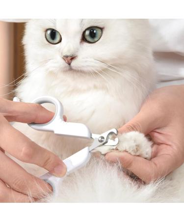Otaive Claw Scissors for Cats & Dogs | Safety Stainless Steel Nail Clippers | Ideal for Puppies & Small Pets | Beginner-Friendly Pet Grooming Tools - Buy Online on GoSupps.com