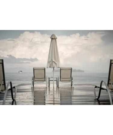 Scotchgard Outdoor Water Shield Fabric Spray - Odorless - Pack of 4 - 10.5 Fl Oz. - Buy Online on GoSupps.com