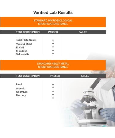 10-in-1 Immune Support Supplement with Vitamin C, Zinc, Elderberry, Echinacea, Turmeric & Probiotics - Dr. Approved Immunity Booster for Respiratory Health - Buy Online on GoSupps.com