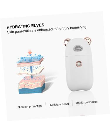 Baluue Facial Mister Portable Steamer for Skin Care Makeup Removal Portable Mister Fast Atomization Nano Spray for - Buy Online on GoSupps.com