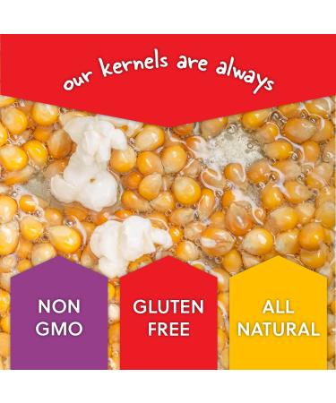 Wabash Valley Farms Fresh Picked Buttered Sweet Corn Seasoning - Authentic Flavor for Gourmet Popcorn - Buy Online on GoSupps.com