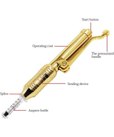 CZSBXBHD Hyaluronic Acid Pen Kit Hyaluron Micro Injector with 5 Ampoules Head Needle Free Injection Pen for Lifting Skin Lips Anti Aging Wrinkle Removal - Buy Online on GoSupps.com