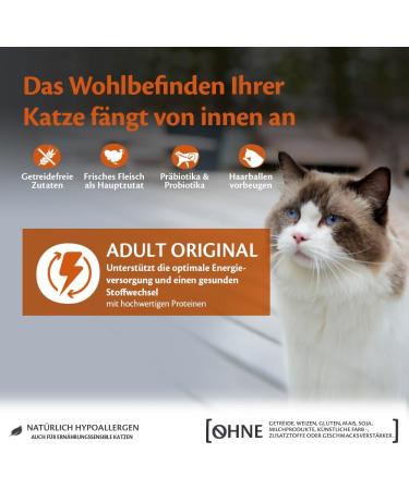 Wellness Core Adult Original Cat Food - Grain-Free High Meat Turkey & Chicken 300g Pack - Buy Online on GoSupps.com