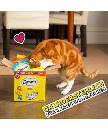 Dreamies Cat Snacks with Catnip - Creamy & Crispy Treats 6x60g | International Shipping Available - Buy Online on GoSupps.com