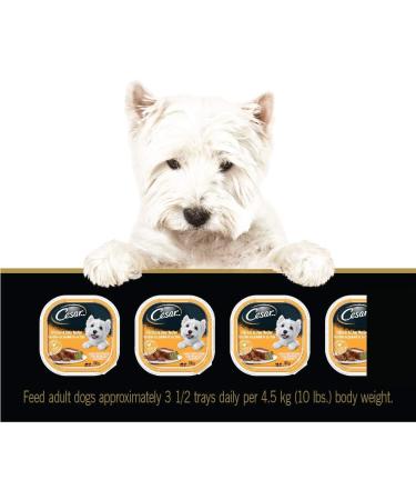 CESAR Adult Wet Dog Food Classic Loaf in Sauce Entr es - Chicken & Liver 100g Tray (24 Pack) Chicken & Liver 100 g (Pack of 24) - Buy Online on GoSupps.com