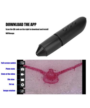 100x Skin & Hair Detector | WiFi Follicle Analyzer for Scalp Health | 0.3 MP Hair Diagnosis Tool - Shop Internationally! - Buy Online on GoSupps.com