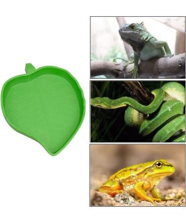 ANZONGYI 2 Pieces Leaf Shape Reptile Food Bowls Food Feeding and Water Dish Plate Used for Tortoise Corn Snake Crawl Pet Drinking and Eating - Buy Online on GoSupps.com