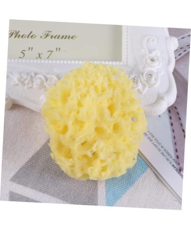 MERRYHAPY 1pc Shower Sponge Baby Sponge for Bathing Body Sponge Exfoliating Sponge Sponges Folding Comb Men Natural Sponge Bath Sponge Seaweed Sponge Take a Bath Mesh Ball - Buy Online on GoSupps.com