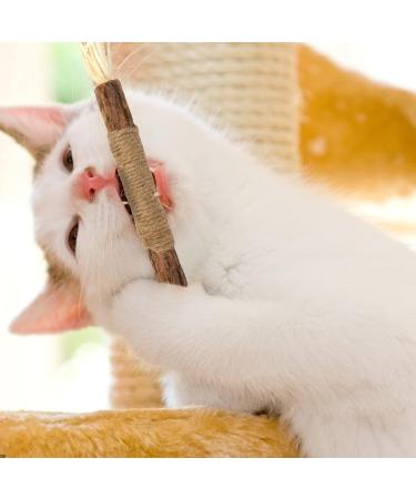 Buy Tao Pipe Catnip Sticks - 6 Interactive Matatabi Chewing Toys for Dental Care & Fresh Breath - Safe Silver Vine Sticks for Cats - Buy Online on GoSupps.com
