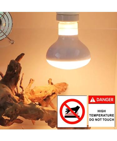 DERNORD Reptile Basking Heat Lamp 100W - 2-Pack for Lizards Turtles & Bearded Dragons - Ideal Heat Bulb Solution - Buy Online on GoSupps.com