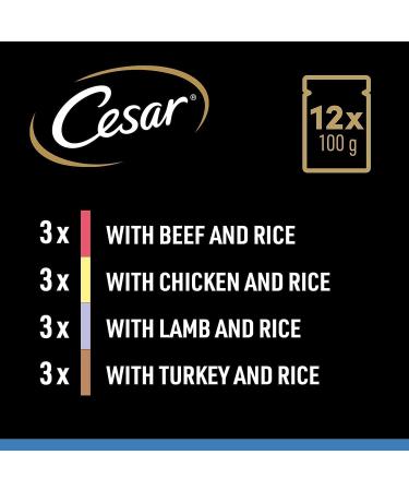 CESAR Senior 10+ Deliciously Fresh Wet Dog Food Pouches Aged Dogs Mixed Selection in Jelly Suitable for Senior Dogs Aged 10+ Pack of 4 (4 x 12 Pouches x 100 g) - Buy Online on GoSupps.com