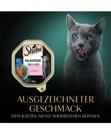 Premium Sheba Delicacy in Jelly - High-Quality Salmon Cat Wet Food - 22 x 85g - International Shipping Available - Buy Online on GoSupps.com