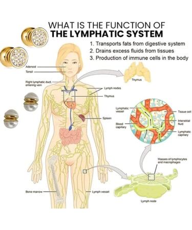 Kyana Lympha-circurl Magnetic Ear Ornament Metiz Lymphvity Magnetherapy Earrings Non Piercing Acupressure Magnetic Earrings Lympha-circurl Magnetic Ear Ornament for Lymphatic Drainage (5Pcs-A) - Buy Online on GoSupps.com
