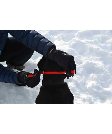 K9 Bridle - to stop your dog pulling (Medium Black) Medium Black - Buy Online on GoSupps.com