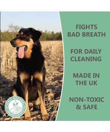 Pets Purest Breath Freshener & Dental Teeth Cleaning Spray - 100% Natural Mouthwash for Dogs & Cats - 250ml - Buy Online on GoSupps.com