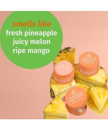 Hempz Hydrating Lip Sleeping Mask - Sweet Pineapple & Honey Melon (.70 Oz.) | Overnight Hydrating Lip Balm with Sweet Pineapple & Honey Melon Herbal Lip Sunscreen .15 oz. SPF 15 - Buy Online on GoSupps.com