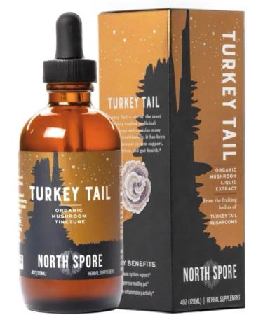 North Spore Organic Turkey Tail Tincture | Mushroom Supplement for Immune Wellness | Sustainably Grown & Confirmed for Potency | Trametes Versicolor Extract | Vegan, Non-GMO - 4oz 4 Fl Oz (Pack of 1) - Buy Online on GoSupps.com