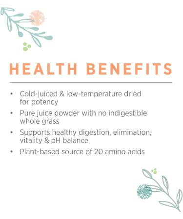 Pure Synergy Organic Barley Grass Juice Powder 5.3 oz - Nutrient-Rich Superfood - Buy Online on GoSupps.com